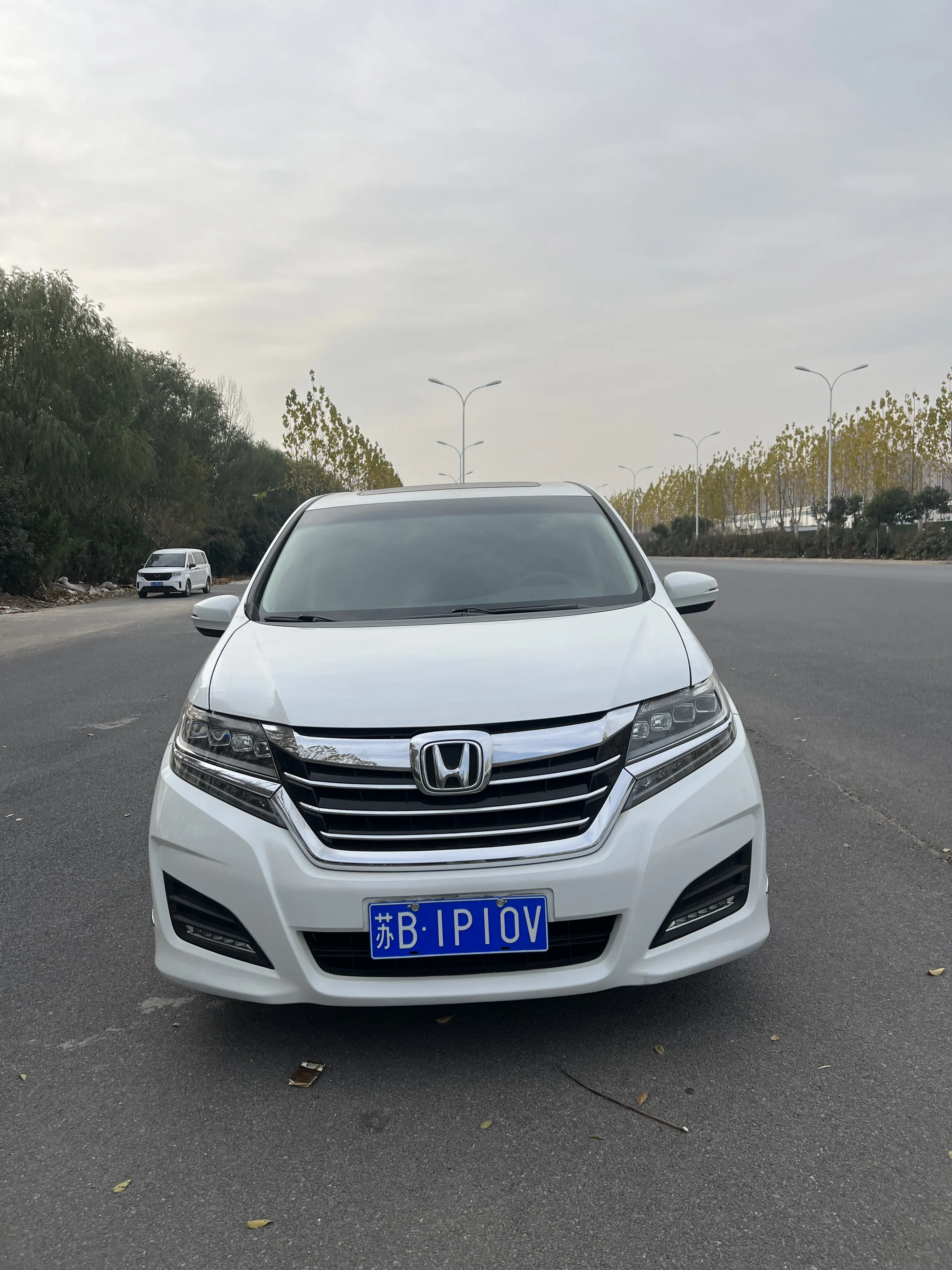 Honda Elysion (Alison)  из Китая