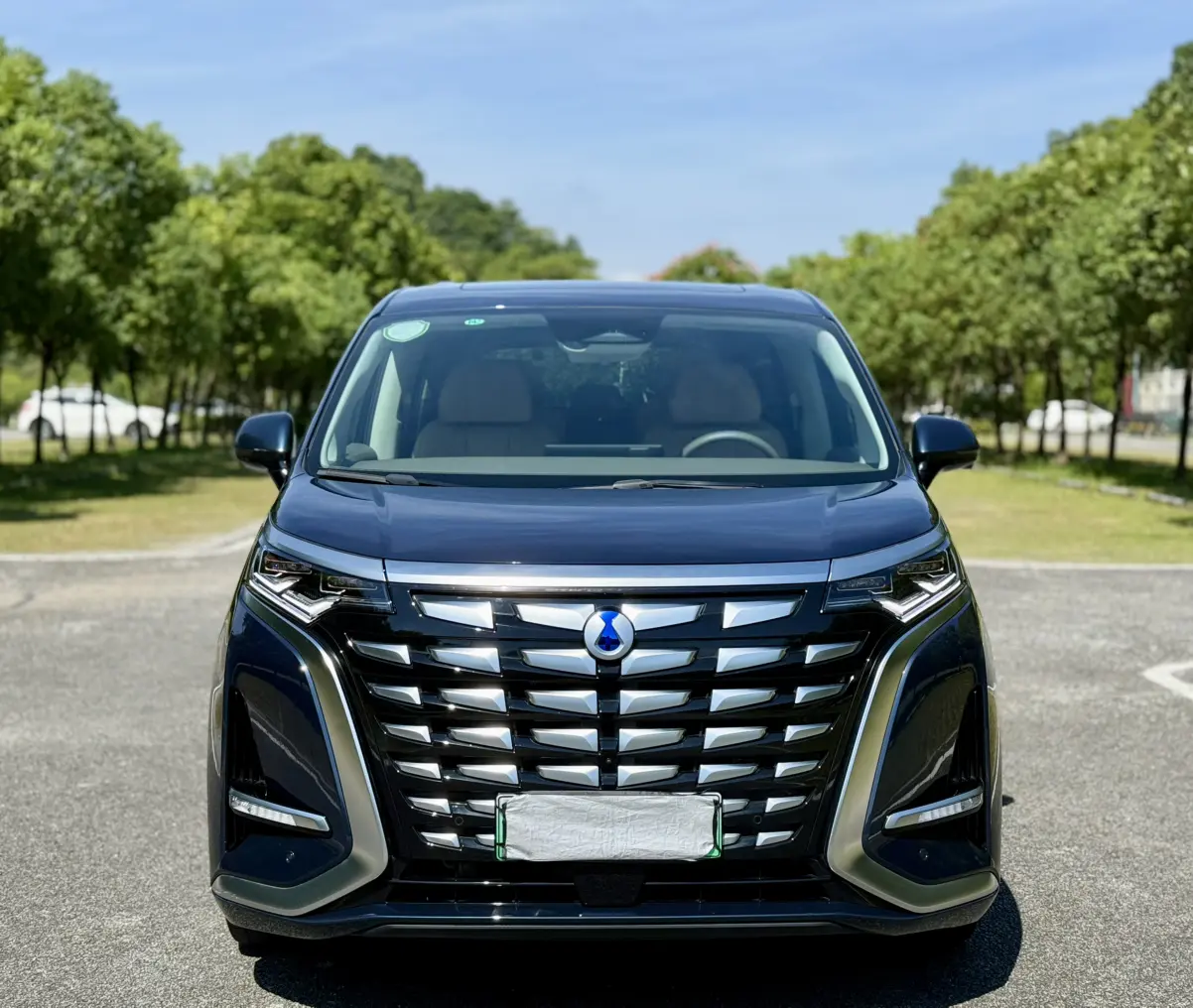 Denza D9 DM  из Китая