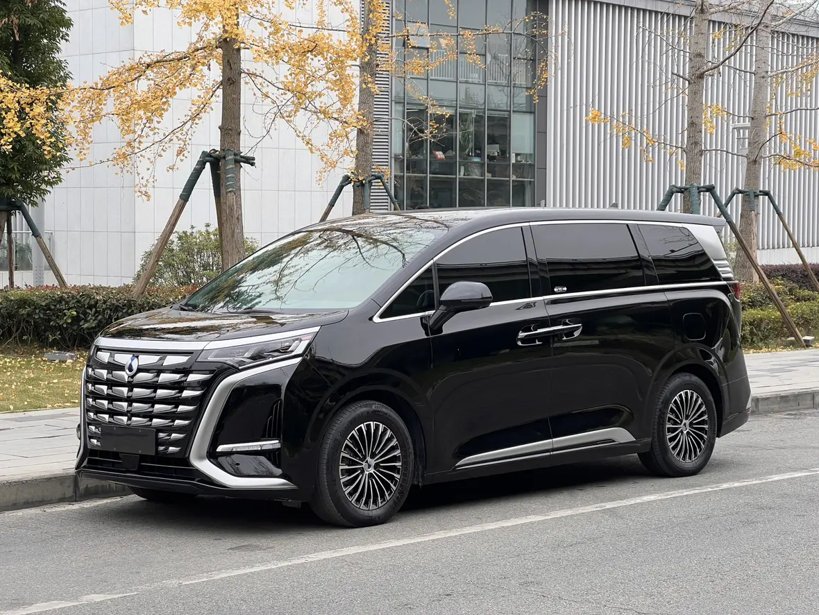 Denza D9 DM  из Китая