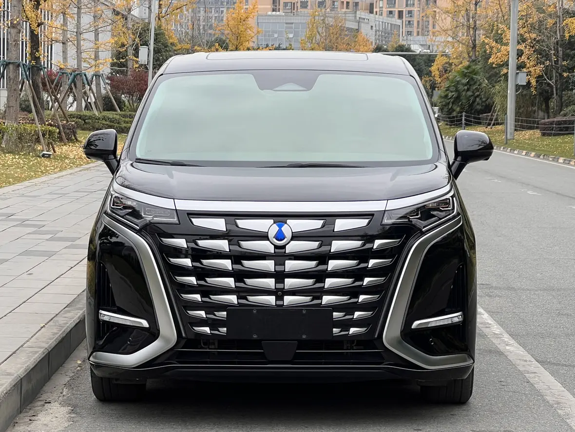 Denza D9 DM  из Китая