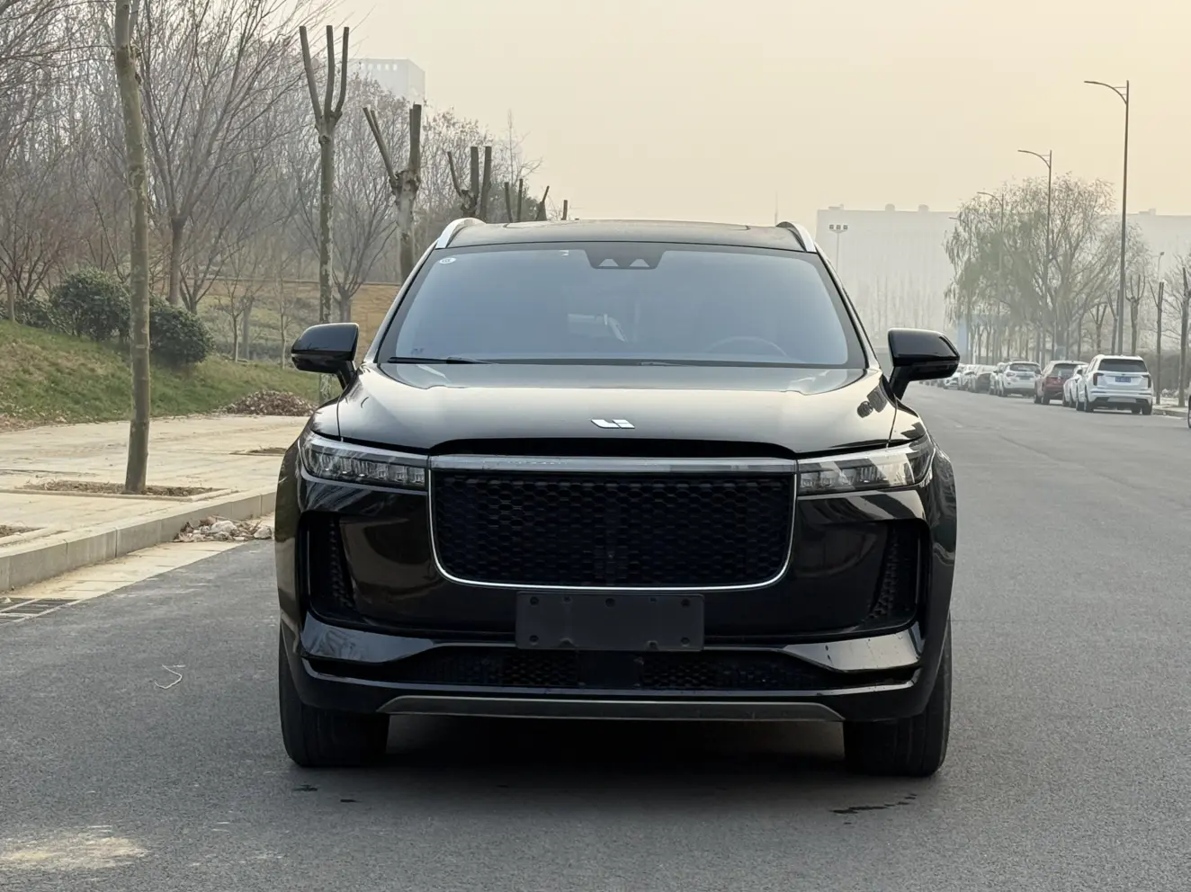 Li ONE (Ideal ONE)  из Китая