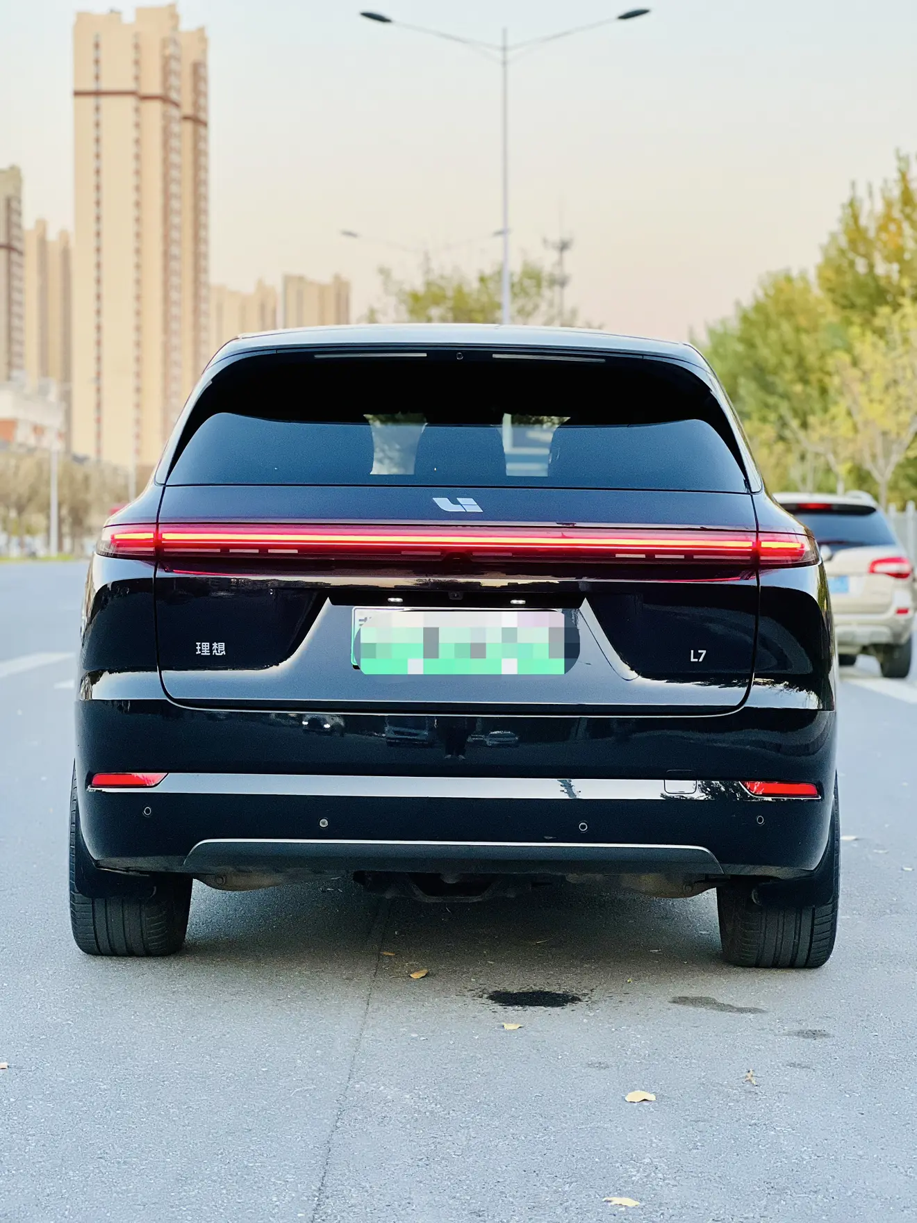 Li L7 (Ideal L7)  из Китая