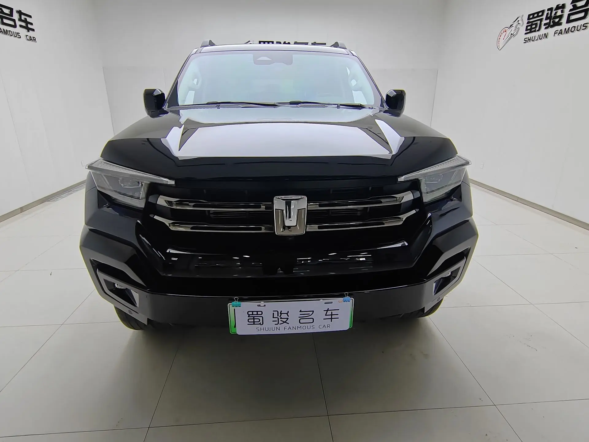 Tank 400 Hi4-T  из Китая