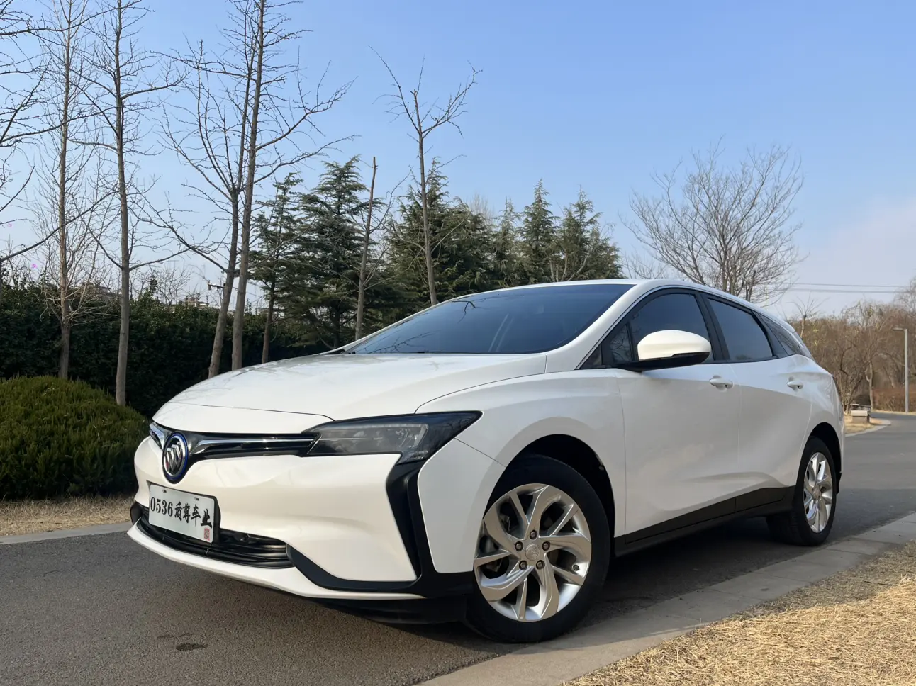 Buick Micro blue 6  из Китая