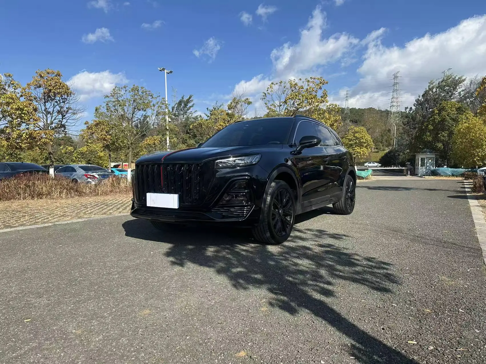 Hongqi HS5  из Китая