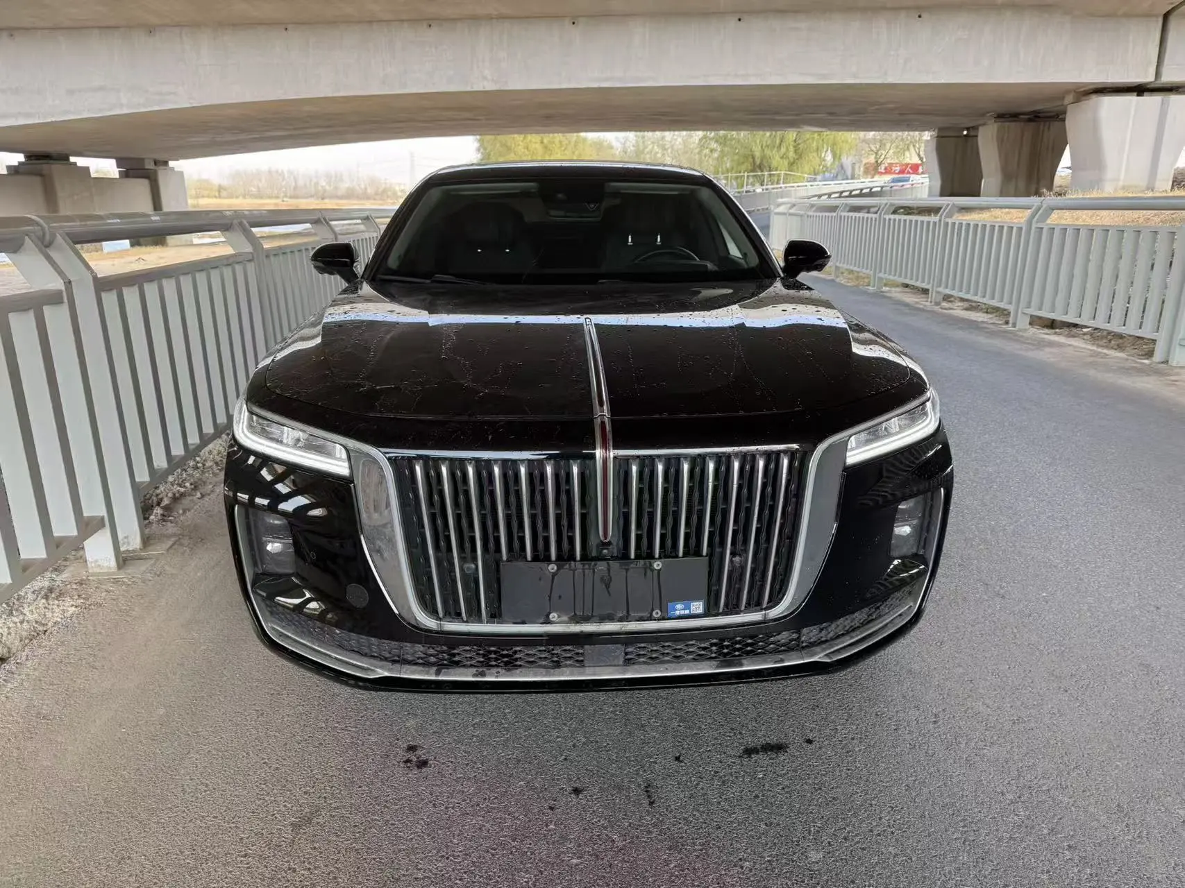 Hongqi H9  из Китая