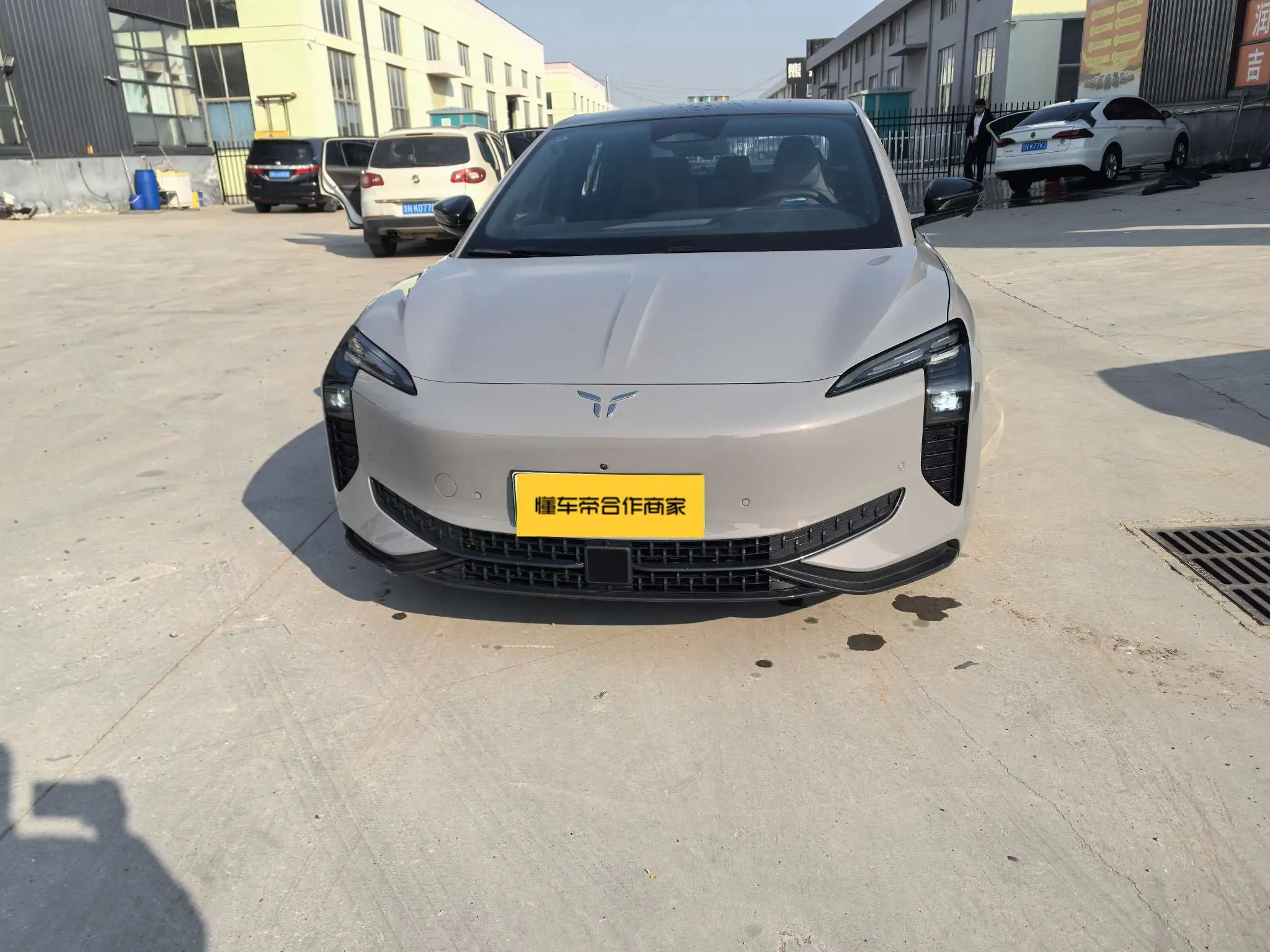 Hongqi EH7  из Китая