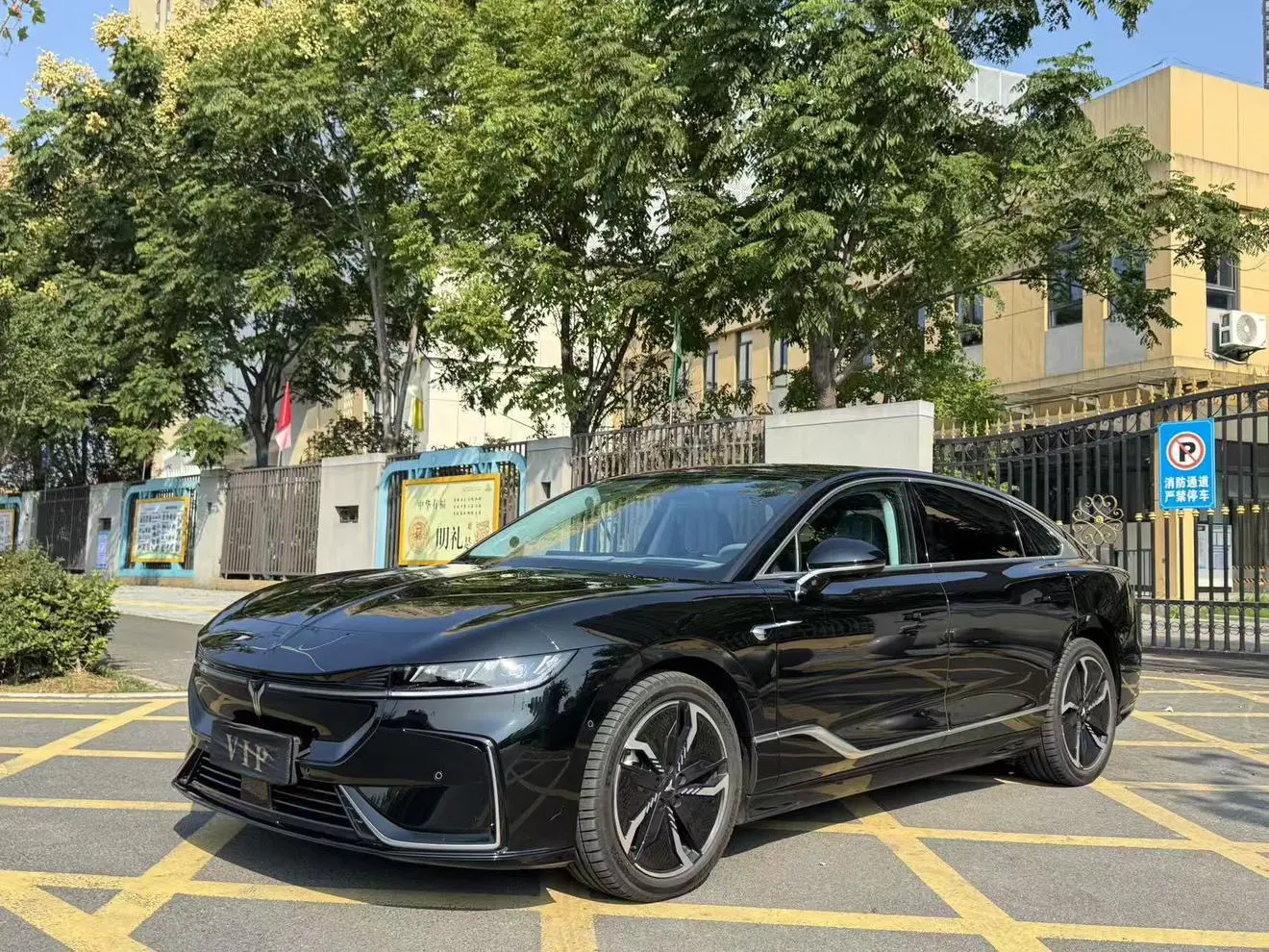 Voyah Passion EV  из Китая