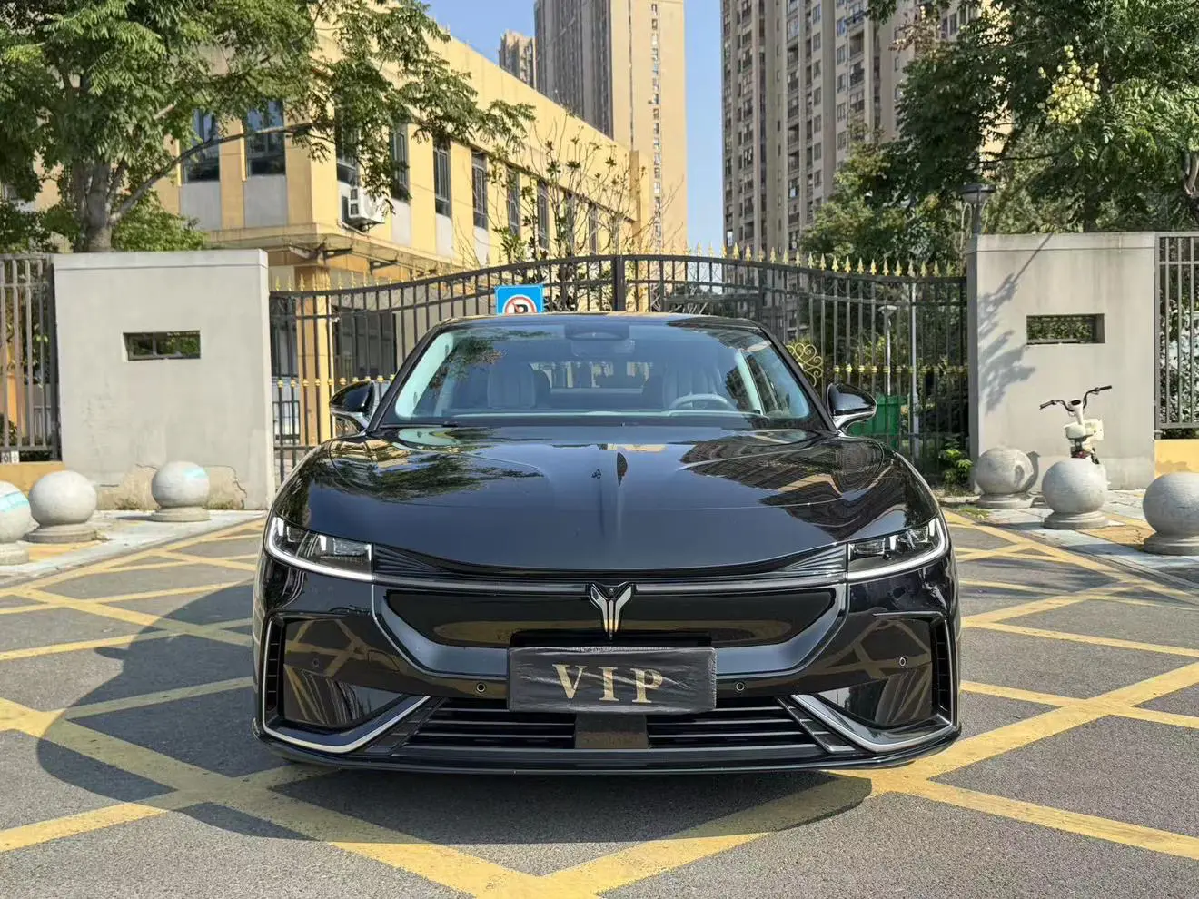 Voyah Passion EV  из Китая