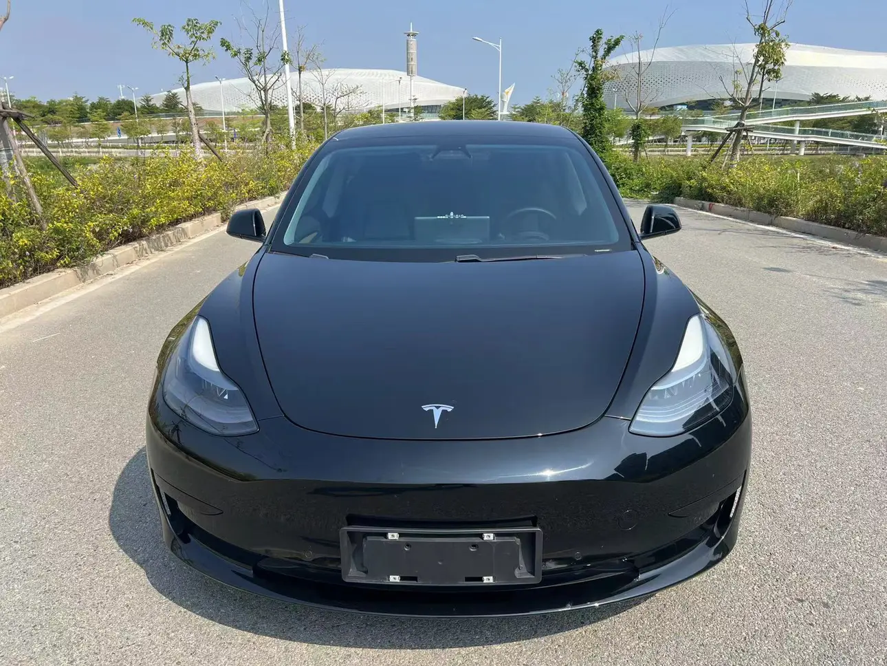 Tesla Model 3  из Китая