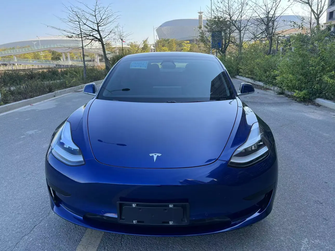 Tesla Model 3  из Китая