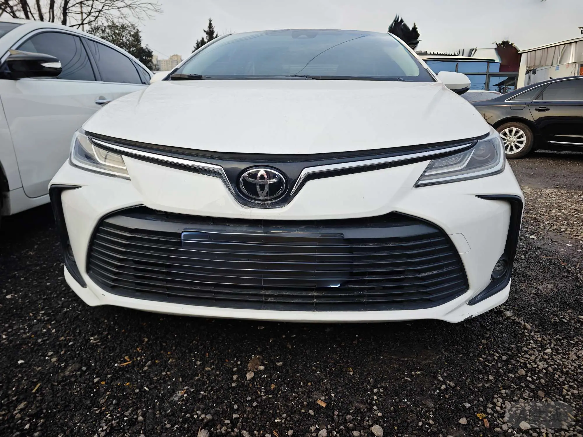 Toyota Corolla  из Китая