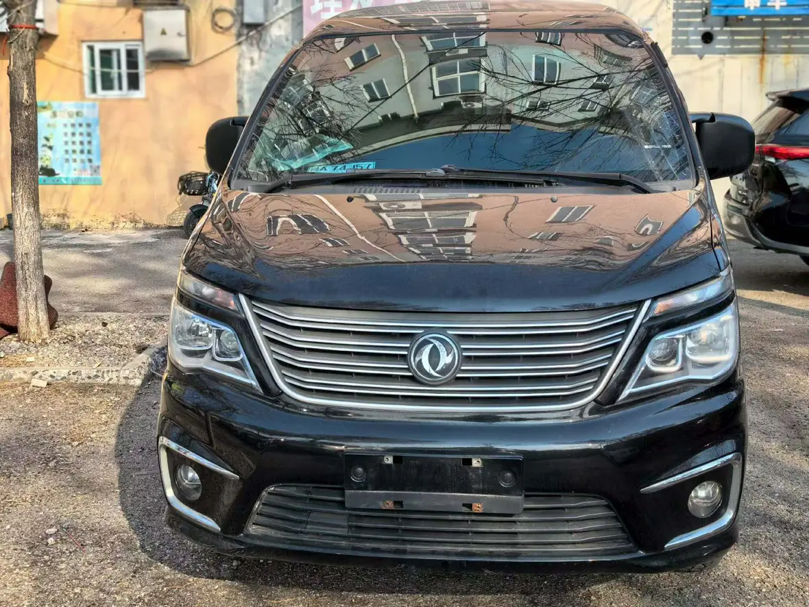 Forthing Lingzhi  из Китая