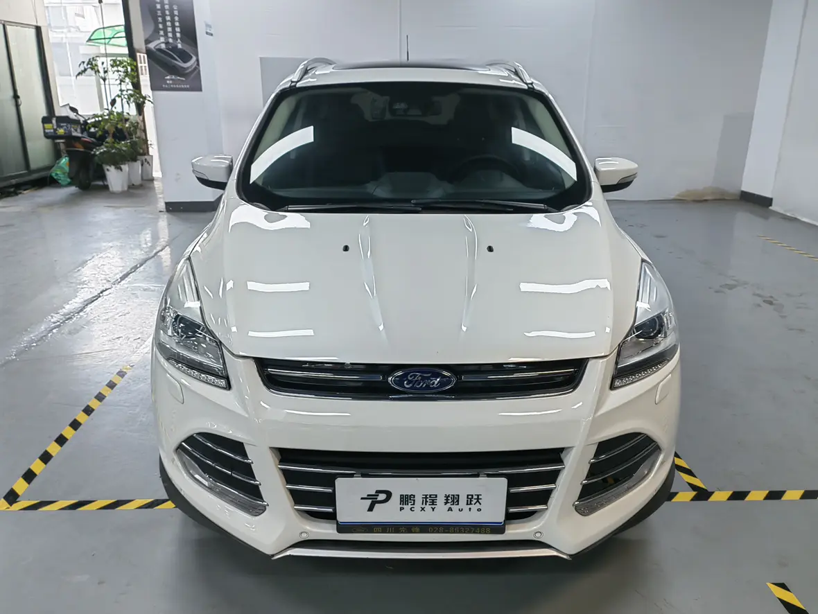 Ford Wing tiger  из Китая