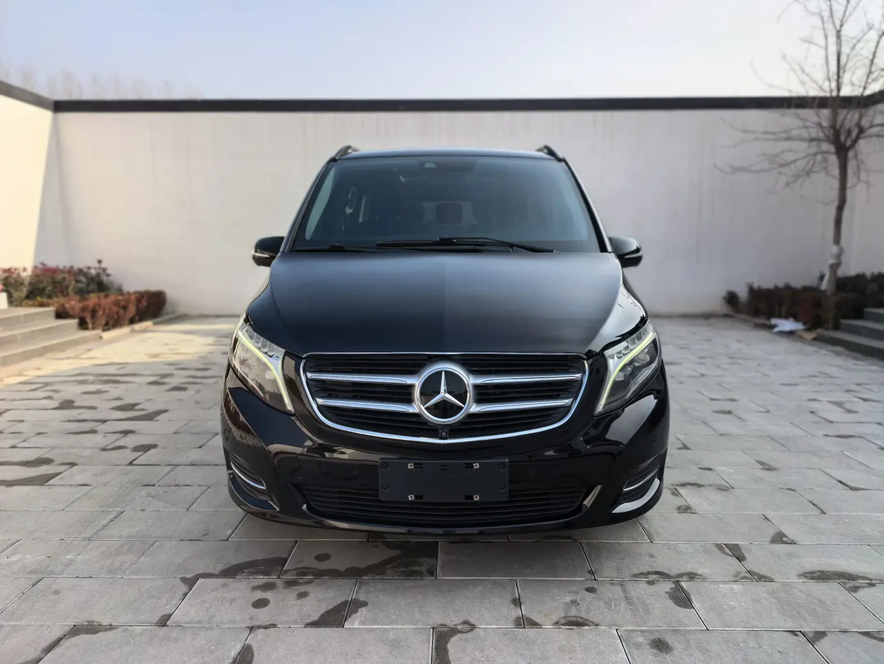 Mercedes-Benz Mercedes Benz V Class  из Китая
