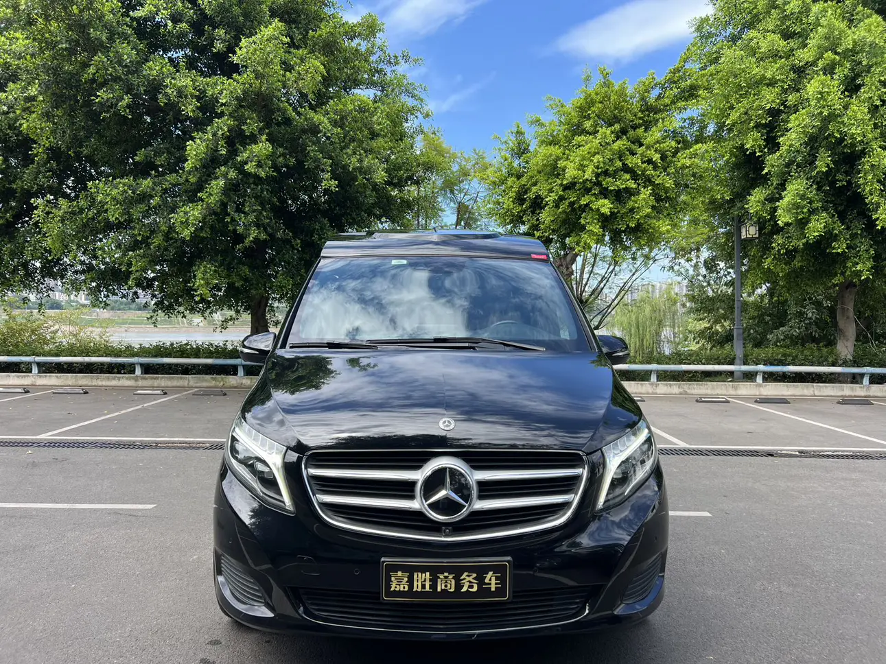 Mercedes-Benz Mercedes Benz V Class  из Китая