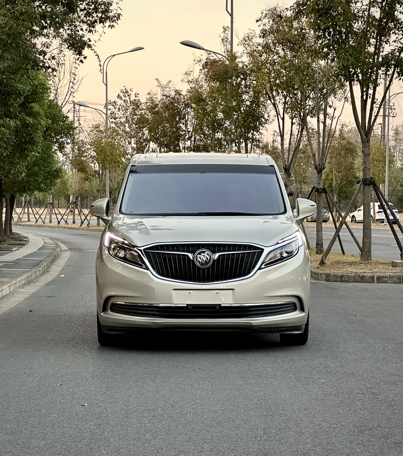 Buick GL8  из Китая