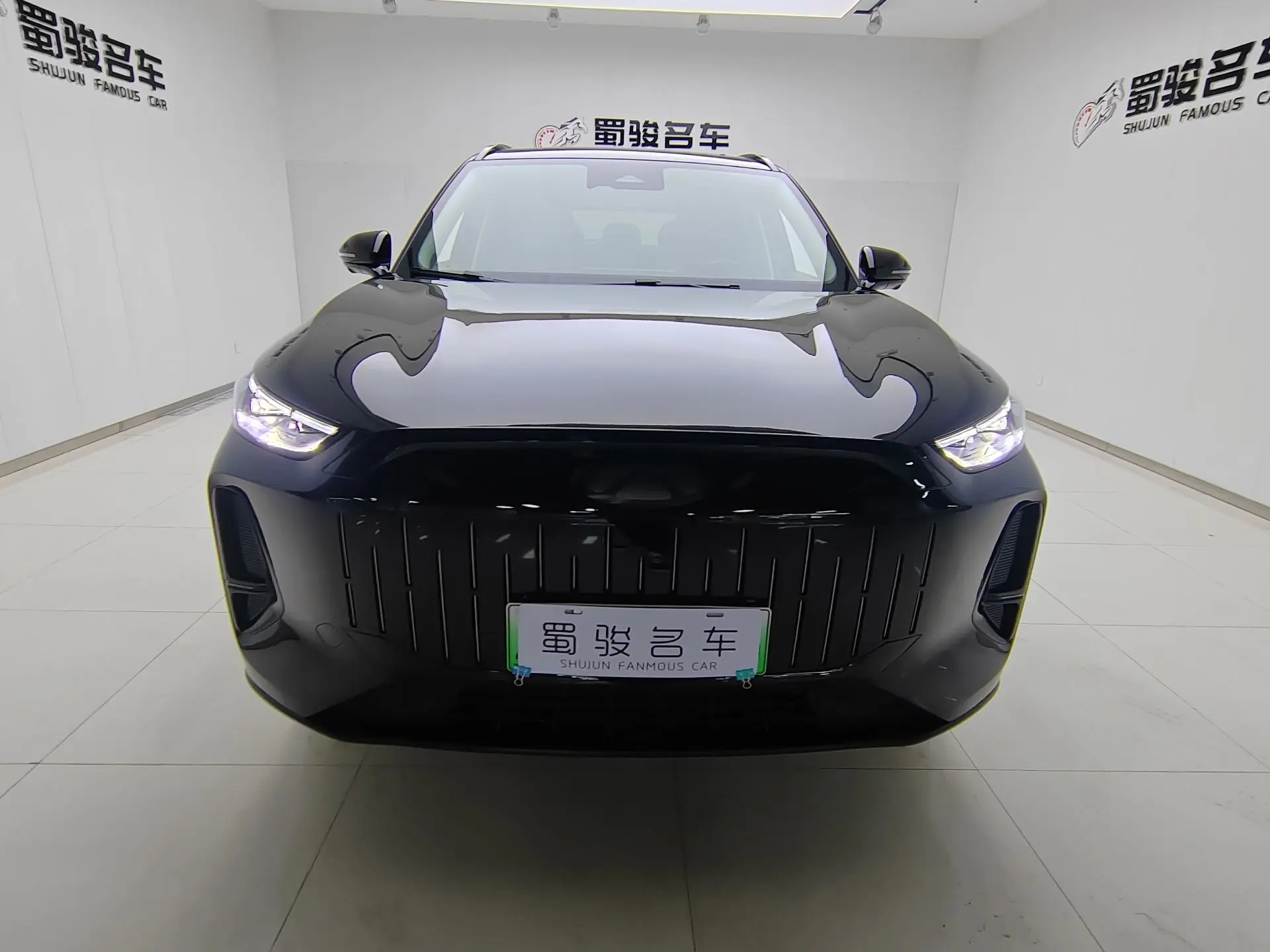 Chery Fengyun T9  из Китая