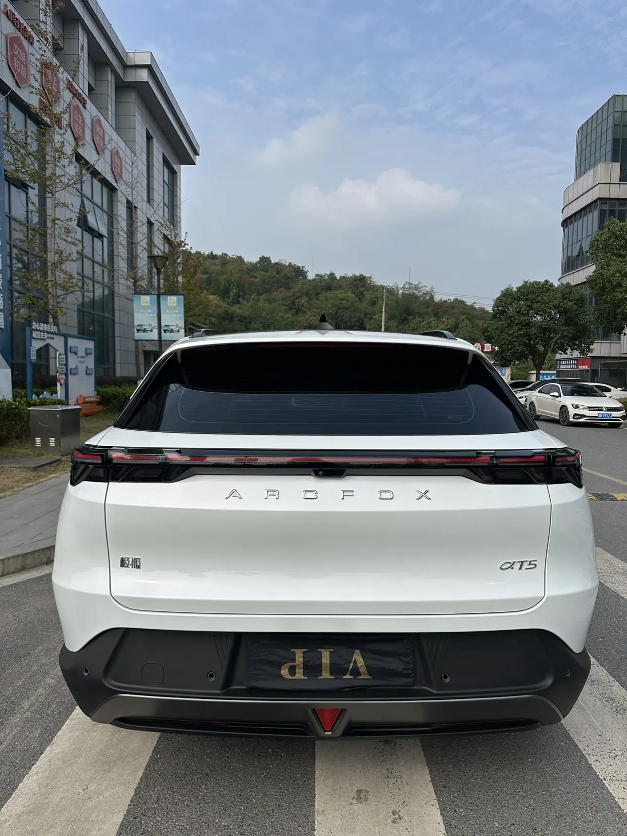 ARCFOX Extreme Fox JiFox Alpha T5  из Китая