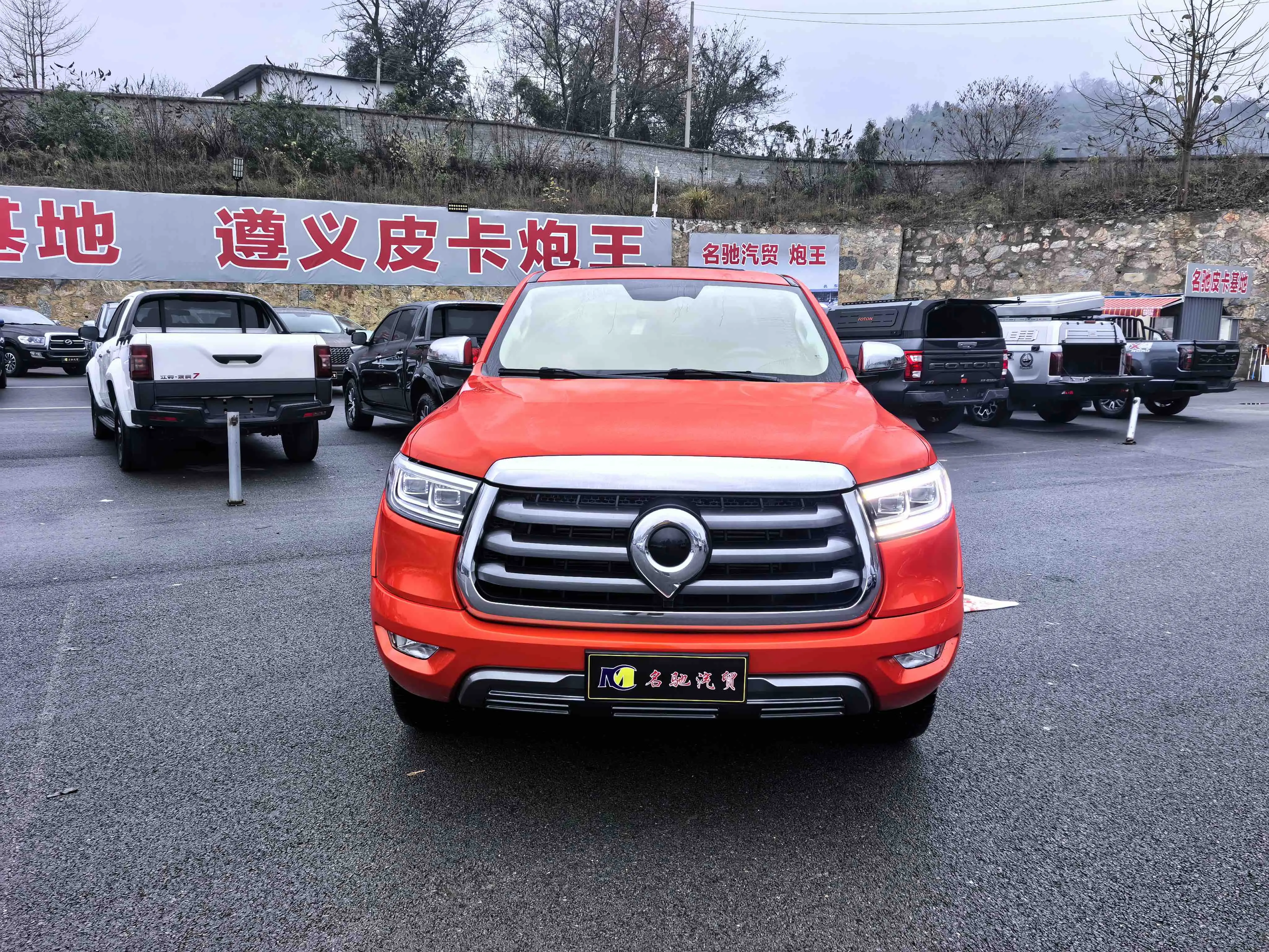 Great Wall Gun  из Китая