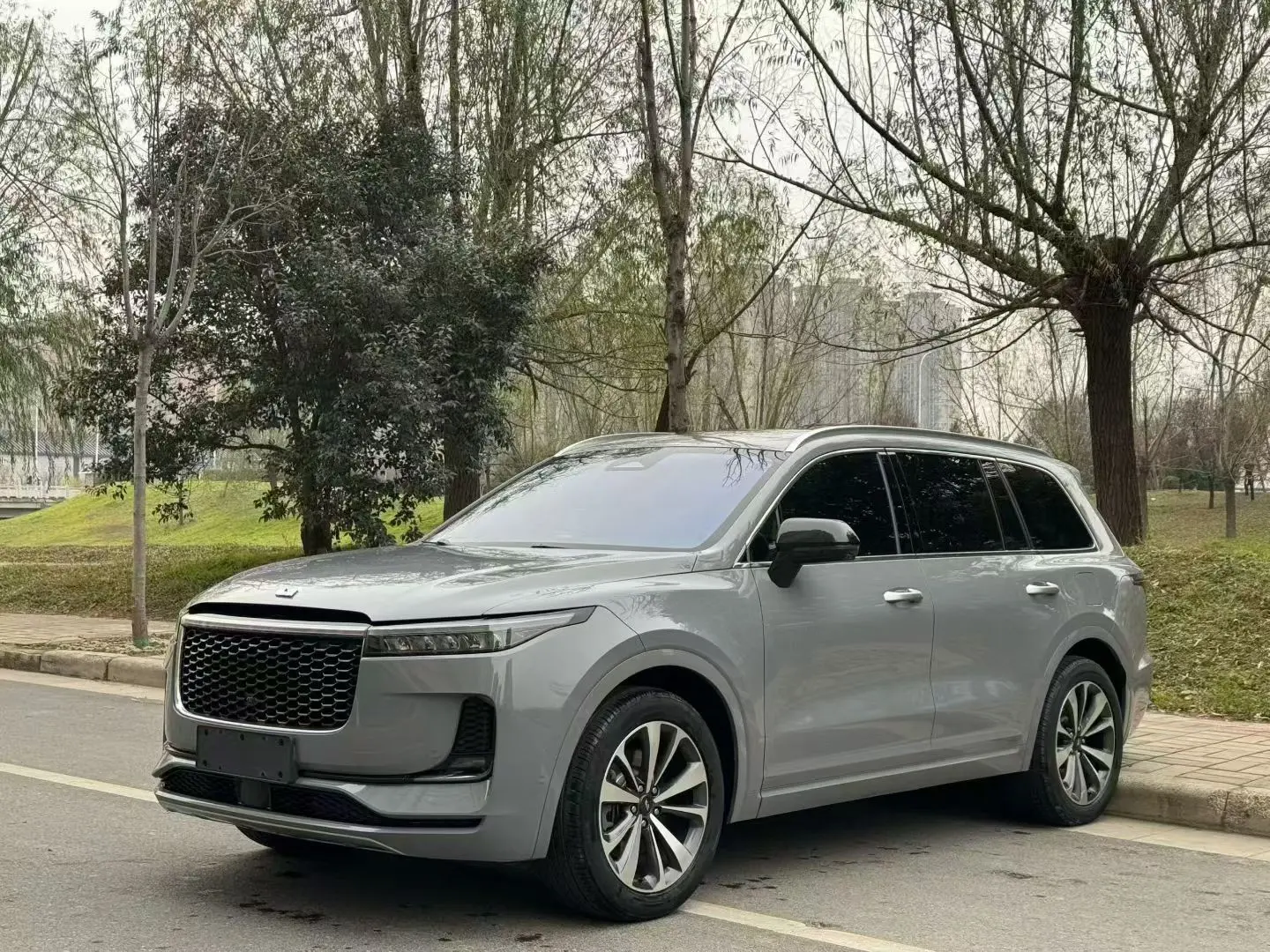 Li ONE (Ideal ONE)  из Китая