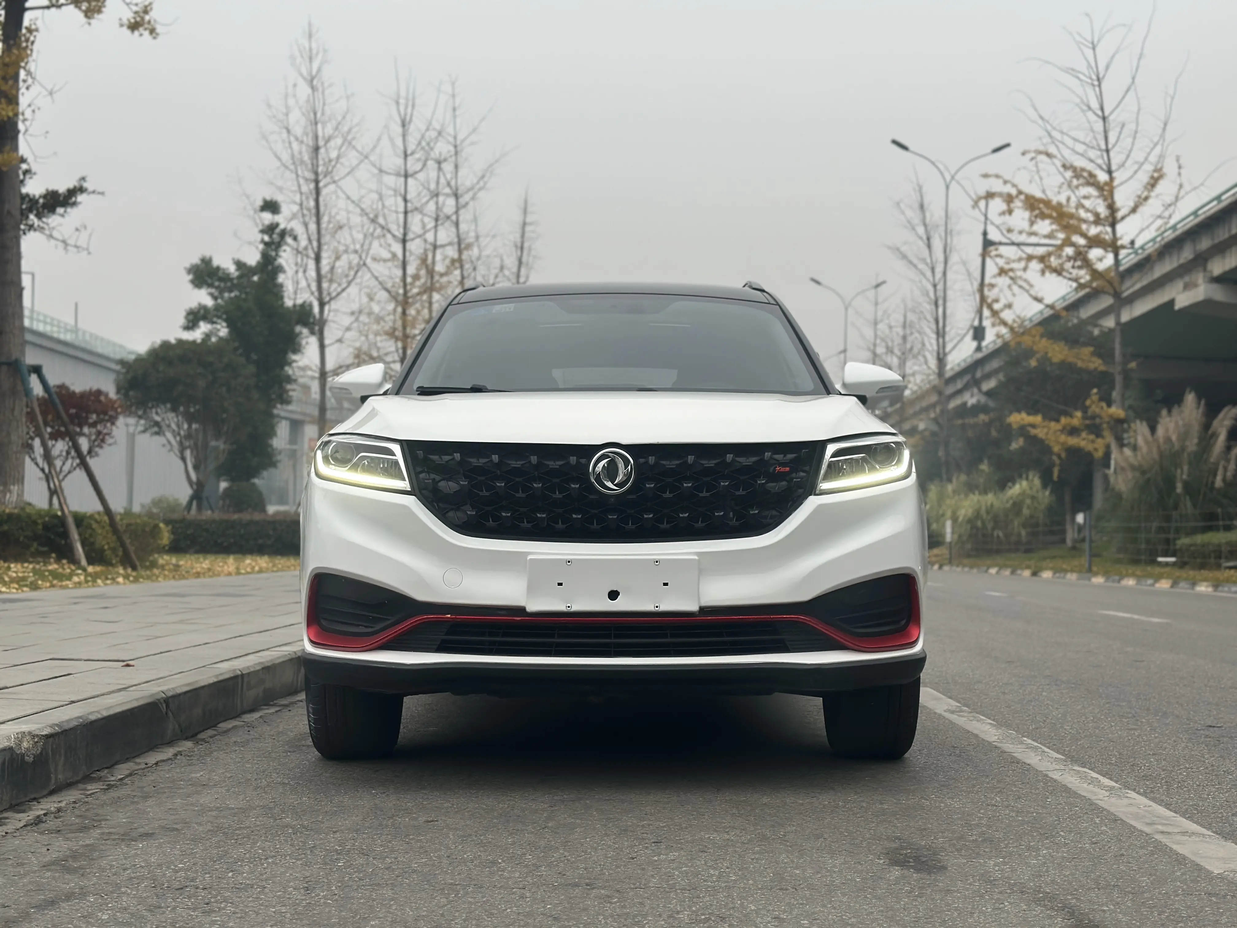 Dongfeng Fengon 580  из Китая