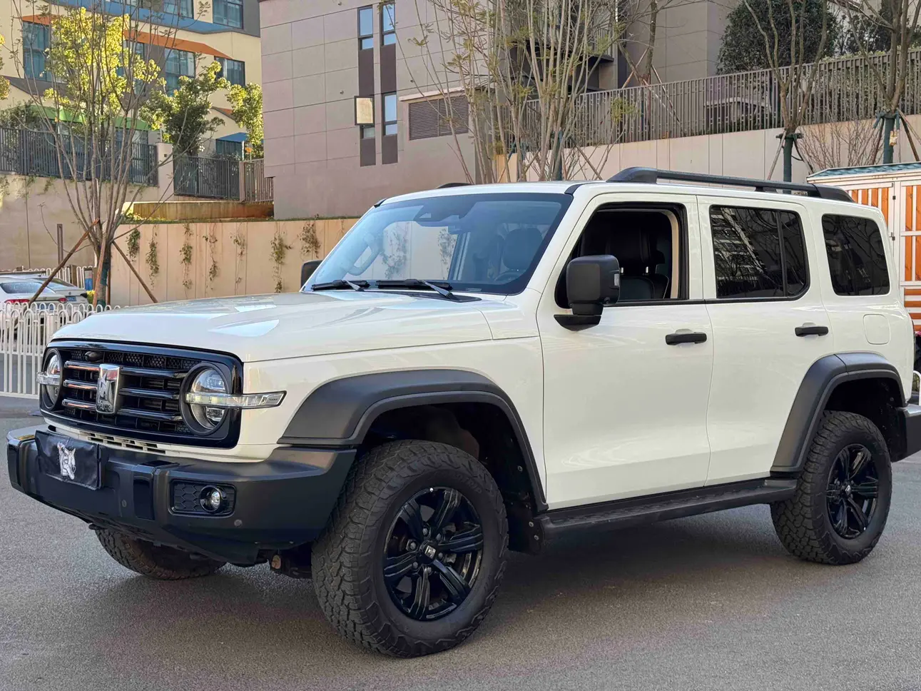 Tank 300  из Китая