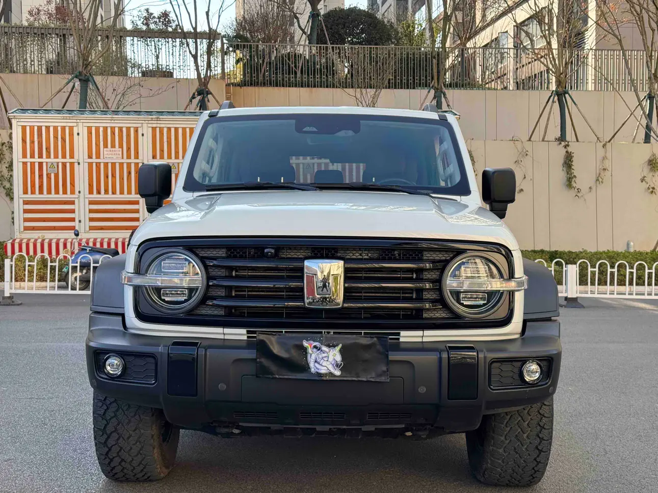 Tank 300  из Китая