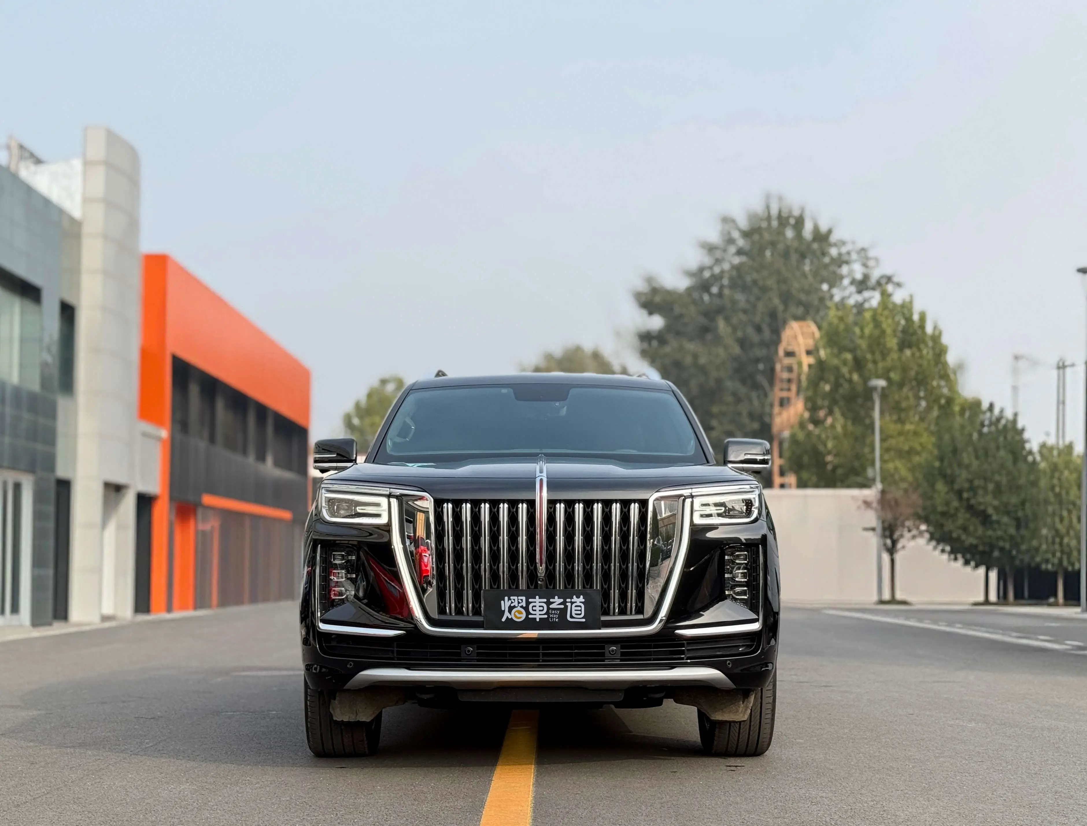 Hongqi Red Flag Golden Sunflower National Glory  из Китая