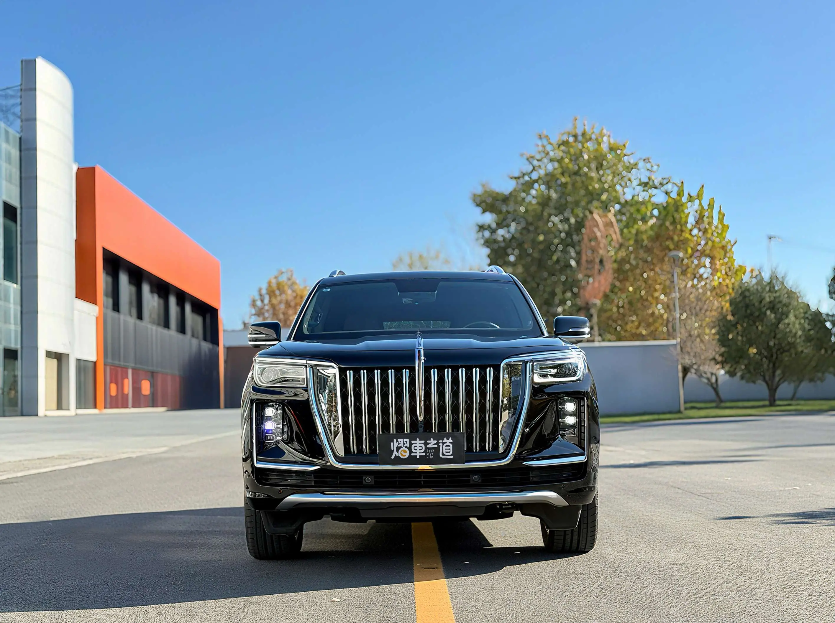 Hongqi Red Flag Golden Sunflower National Glory  из Китая