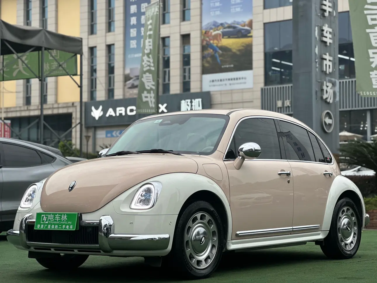 ORA Euler ballet cat  из Китая