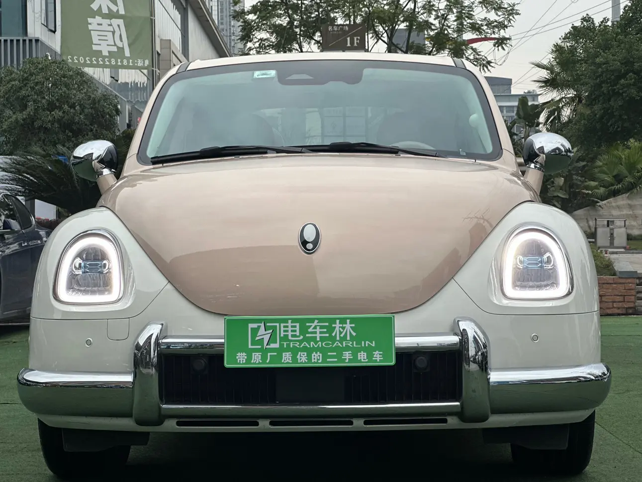 ORA Euler ballet cat  из Китая