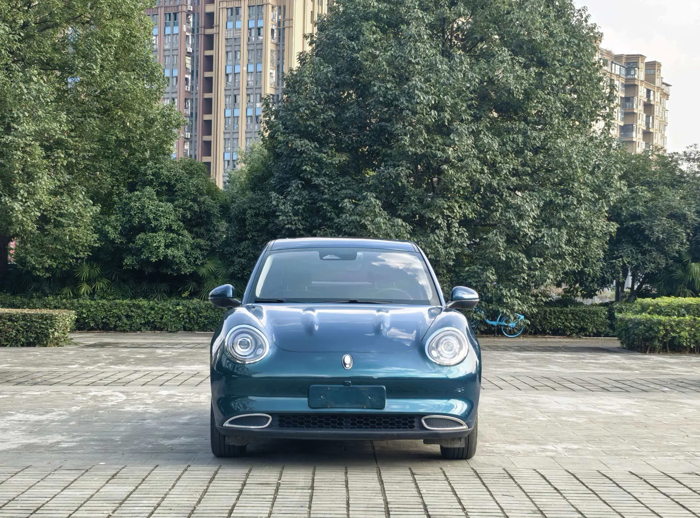 ORA Euler good cat  из Китая