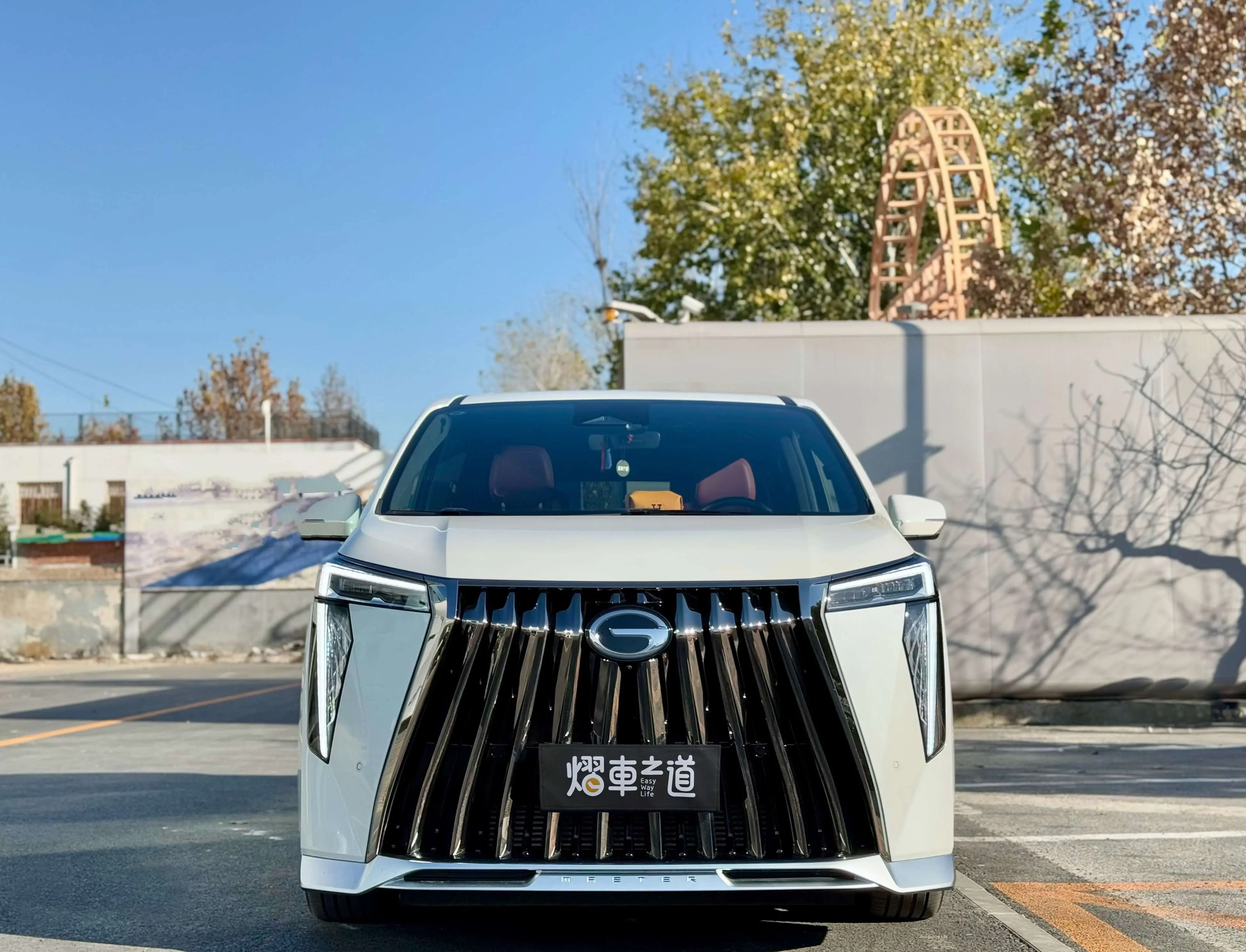 GAC Trumpchi M8  из Китая