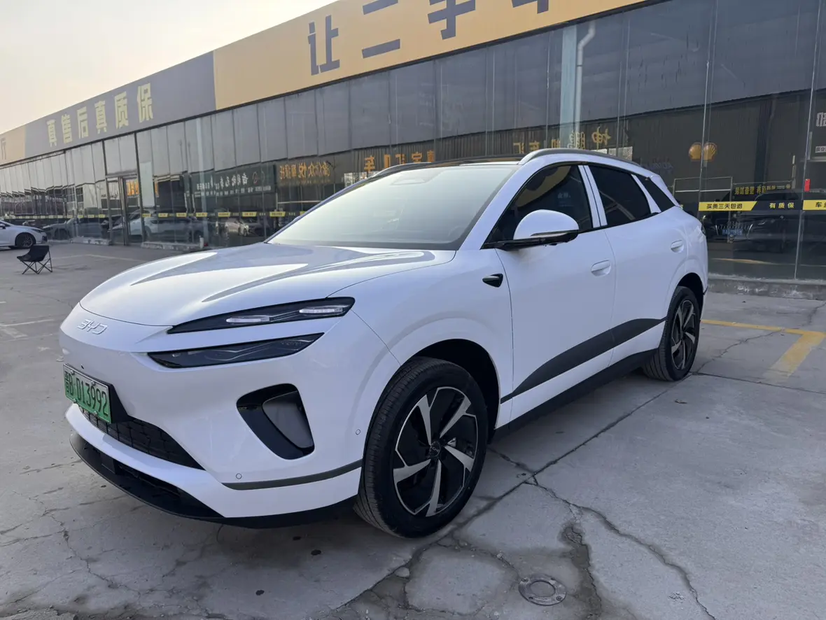 BYD Sea Lion 06EV  из Китая