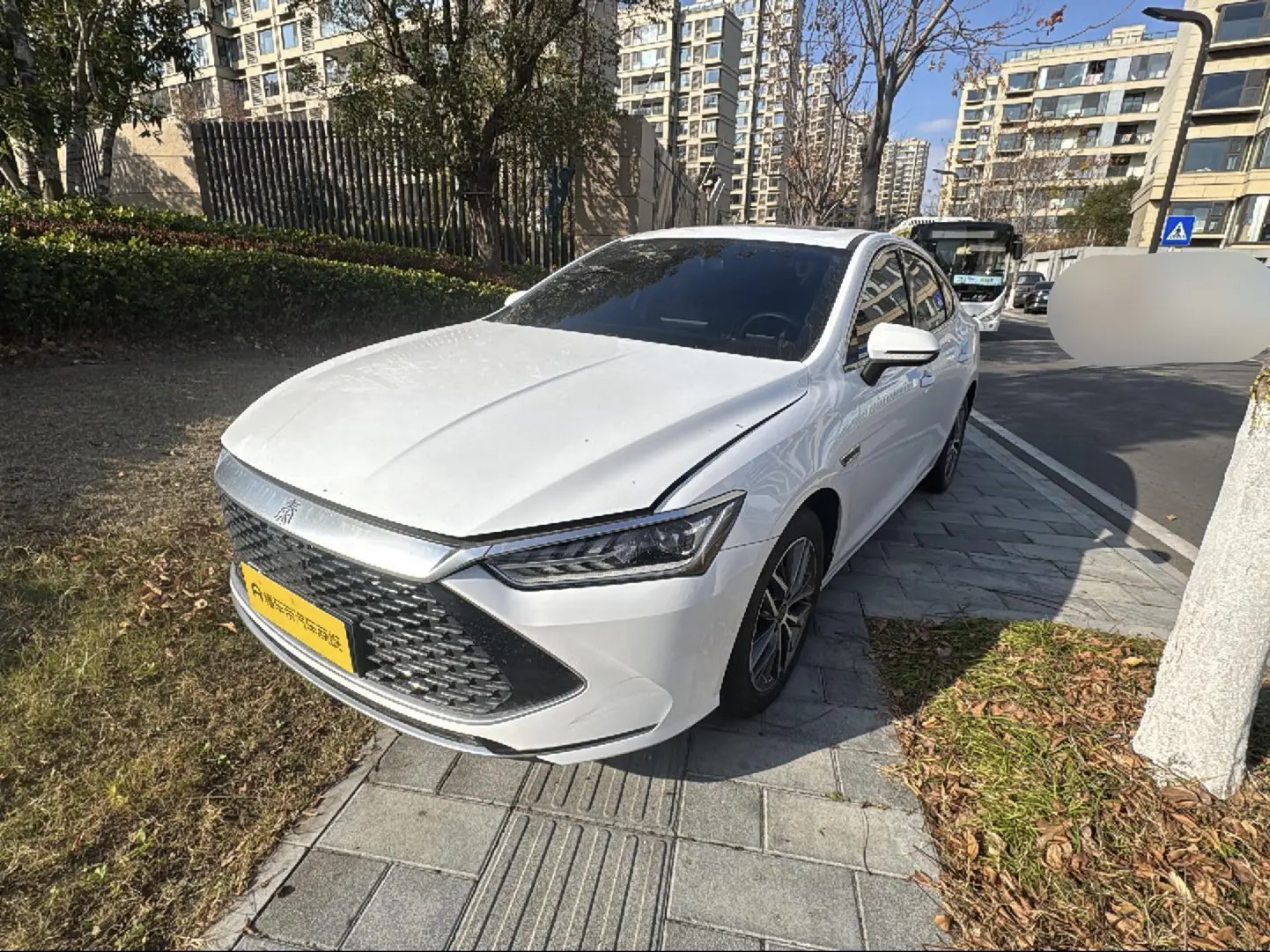 BYD Qin PLUS DM  из Китая