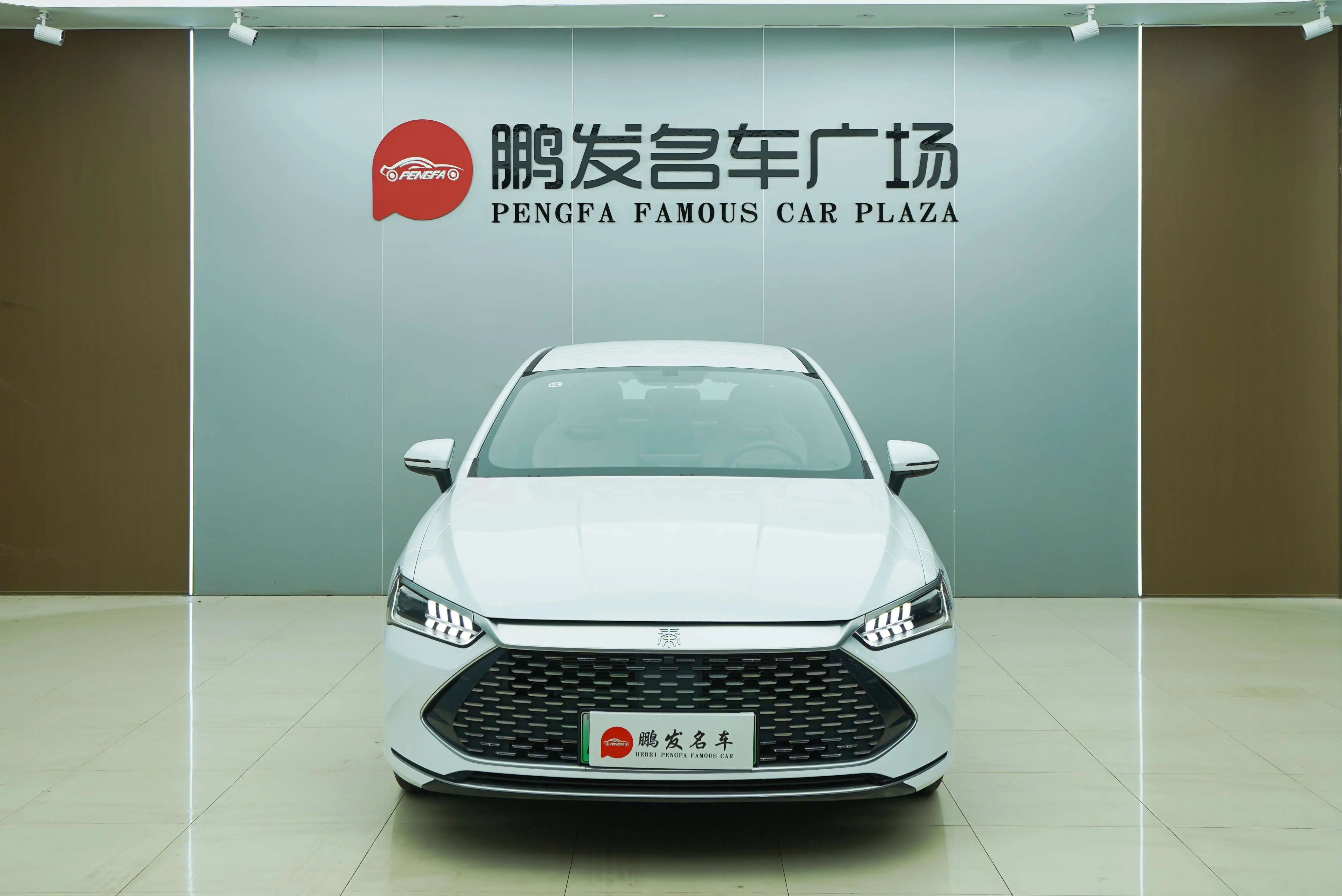 BYD Qin PLUS DM  из Китая