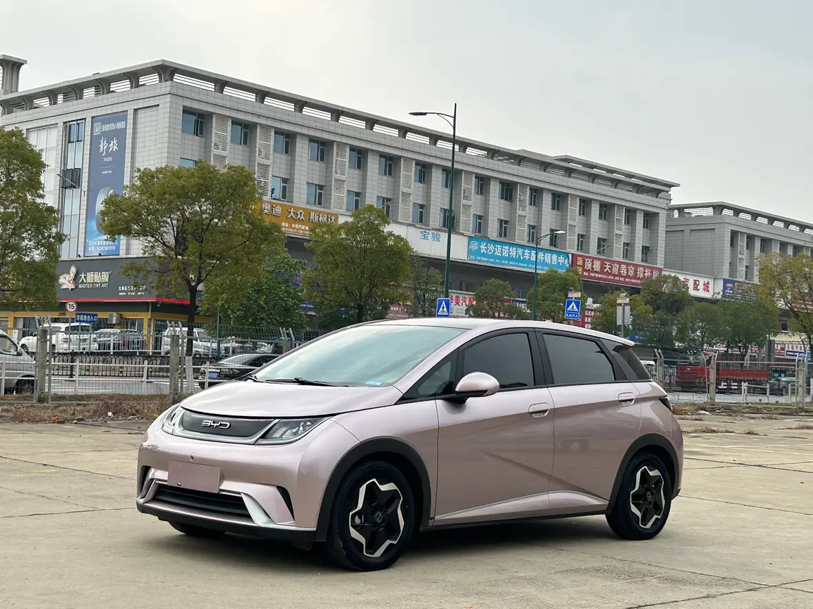 BYD Dolphin  из Китая