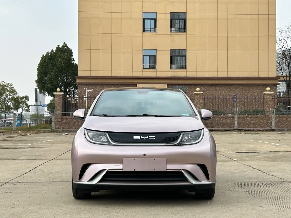 BYD Dolphin  из Китая