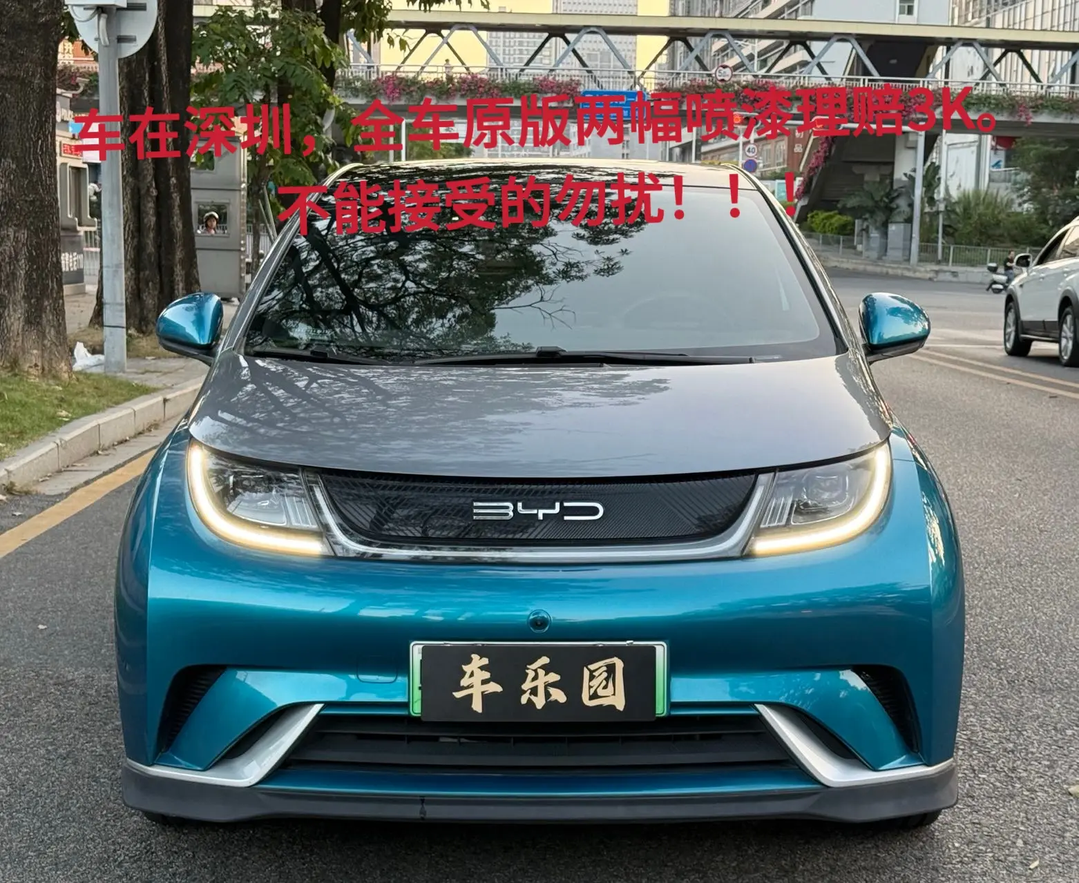 BYD Dolphin  из Китая