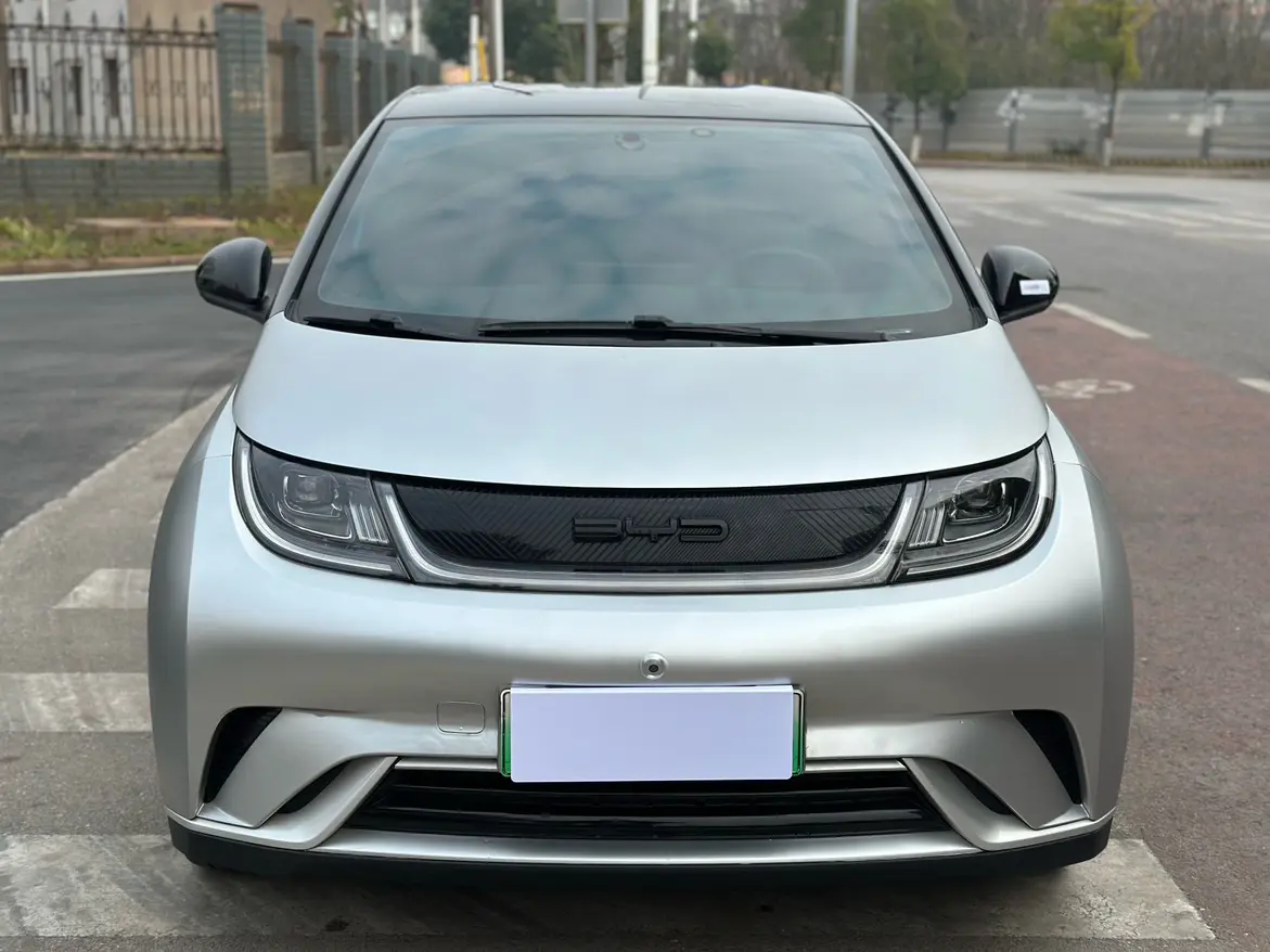 BYD Dolphin  из Китая