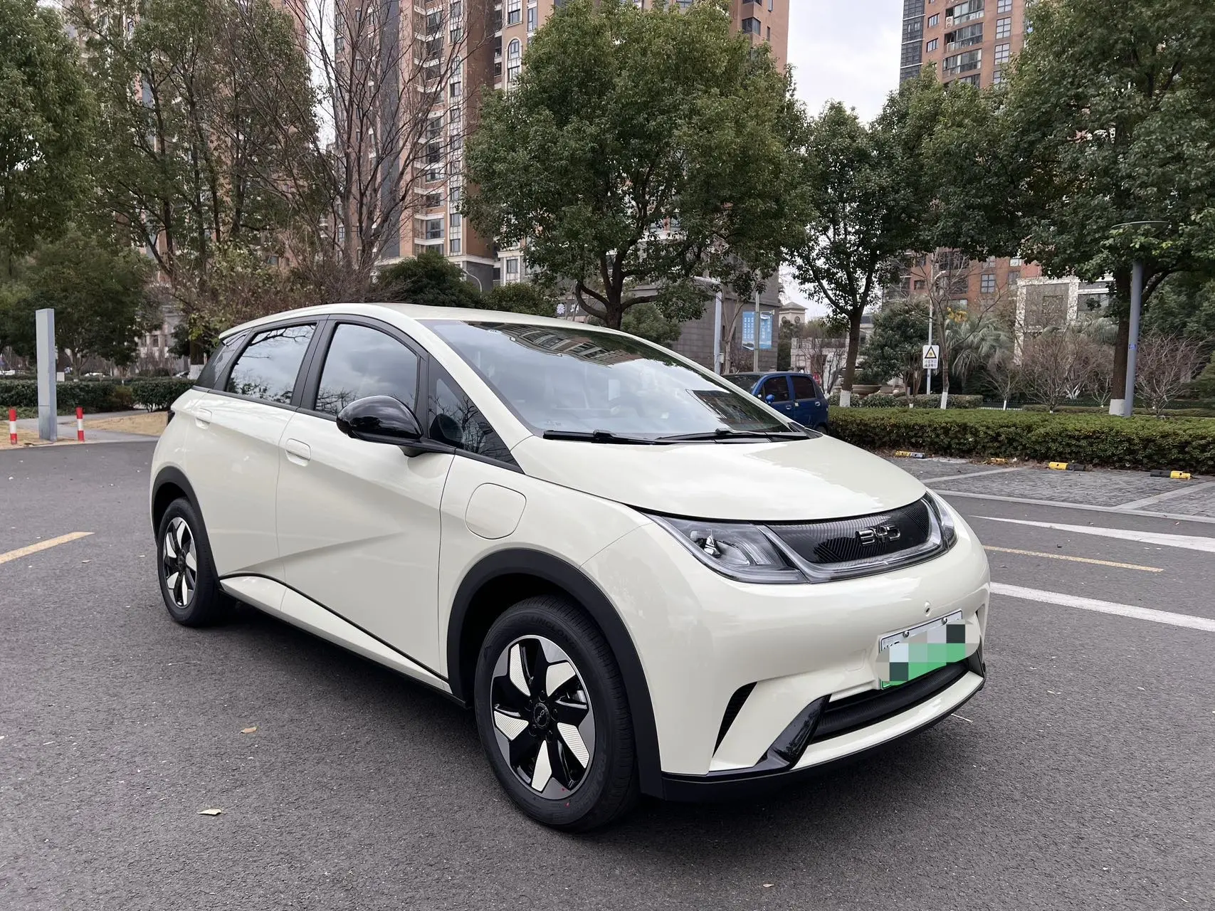 BYD Dolphin  из Китая