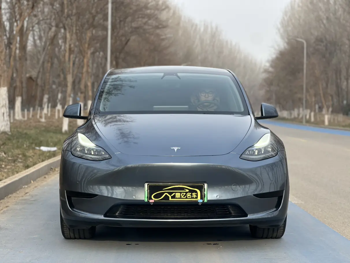 Tesla Model Y  из Китая