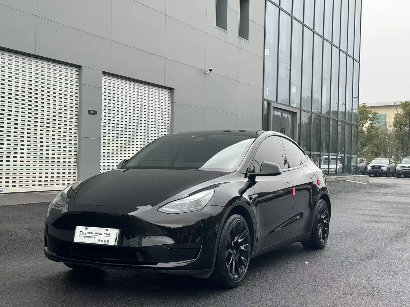 Tesla Model Y  из Китая