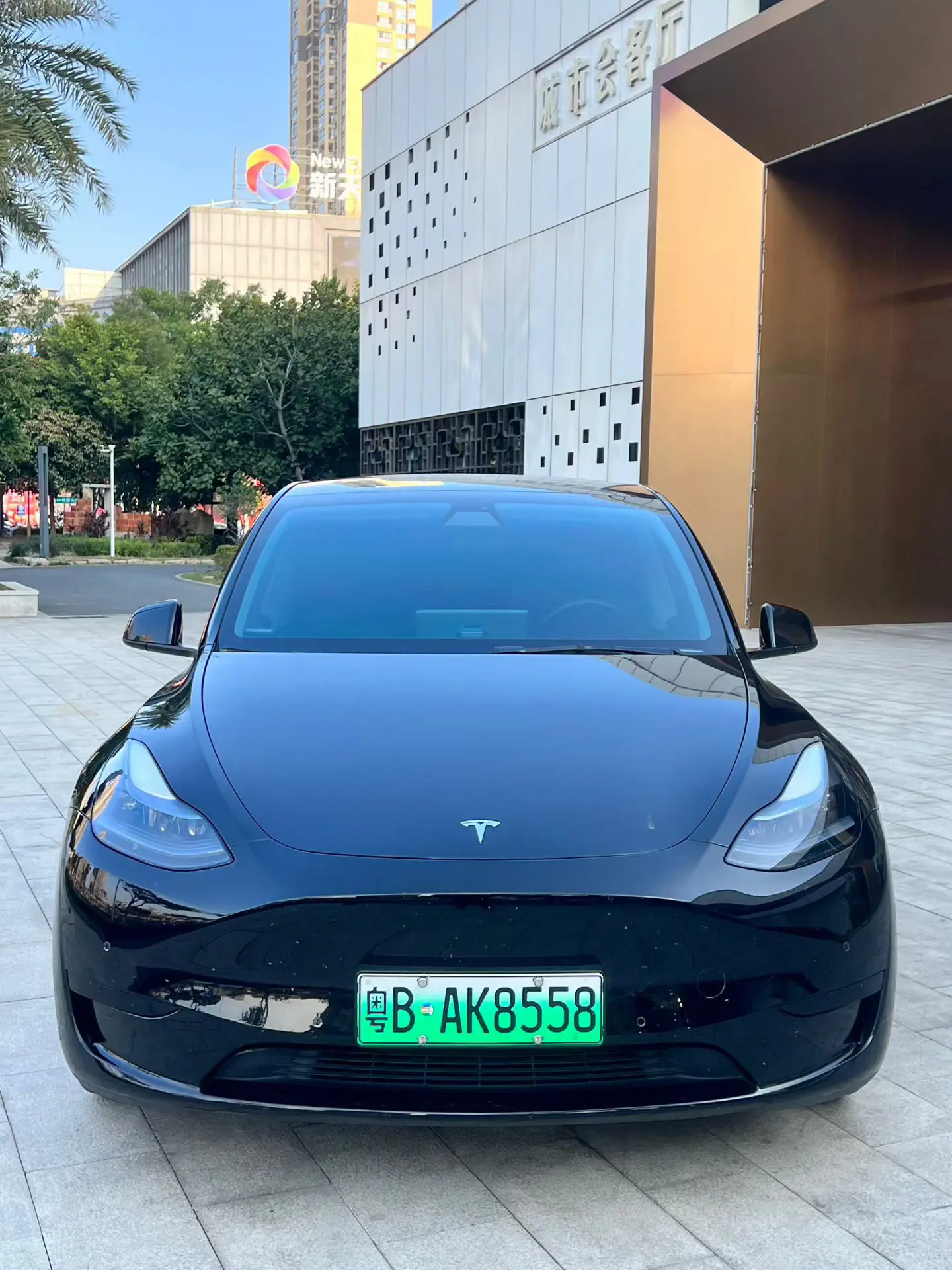 Tesla Model Y  из Китая
