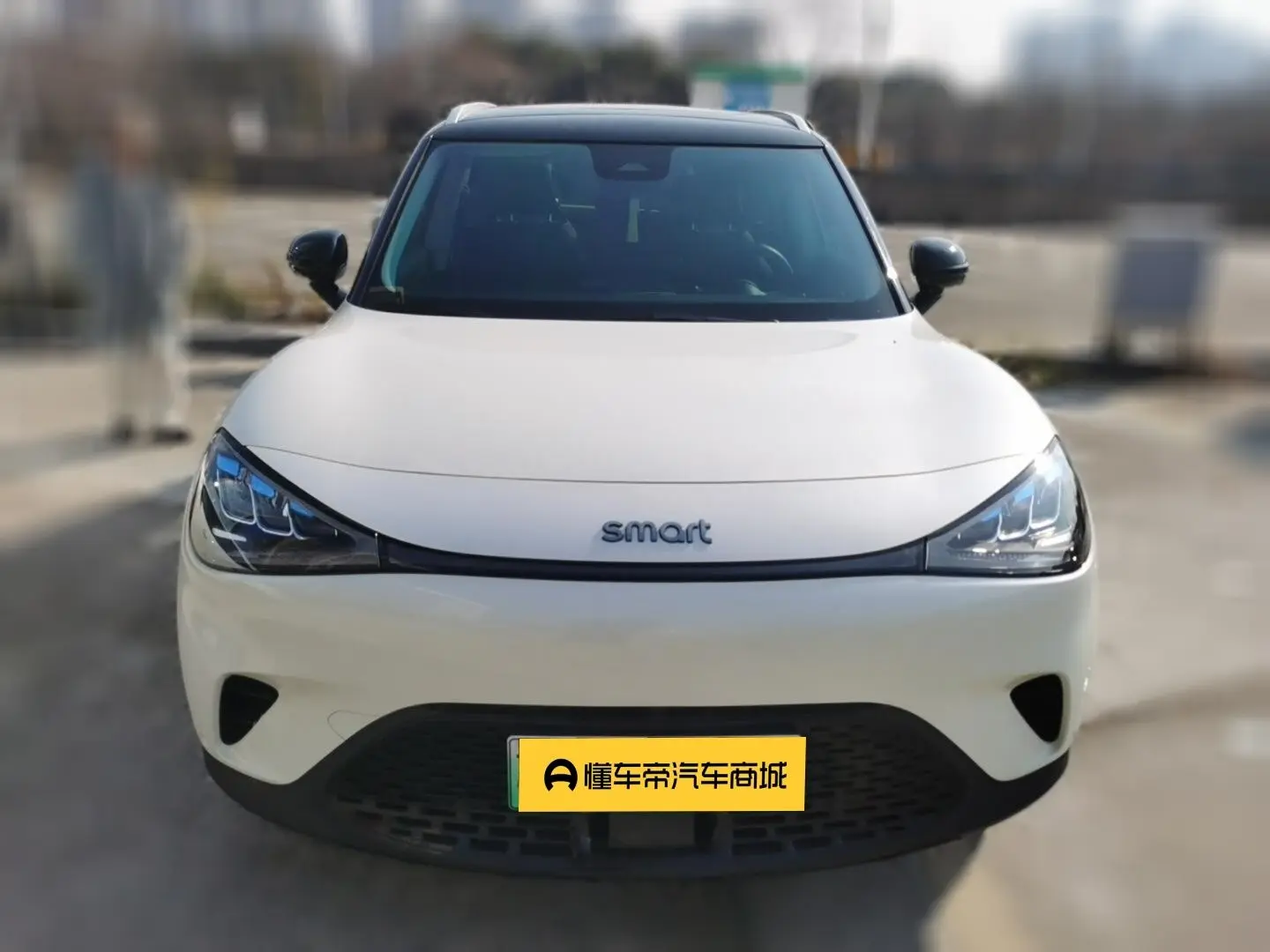 Smart elf #1  из Китая