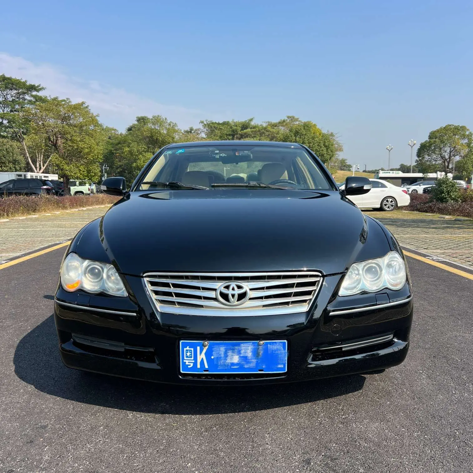 Toyota Ruizhi  из Китая