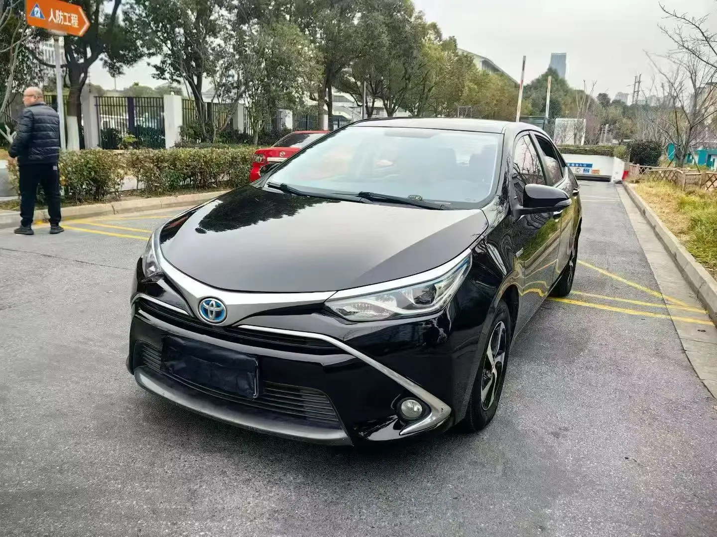 Toyota Levin (Lei Ling)  из Китая