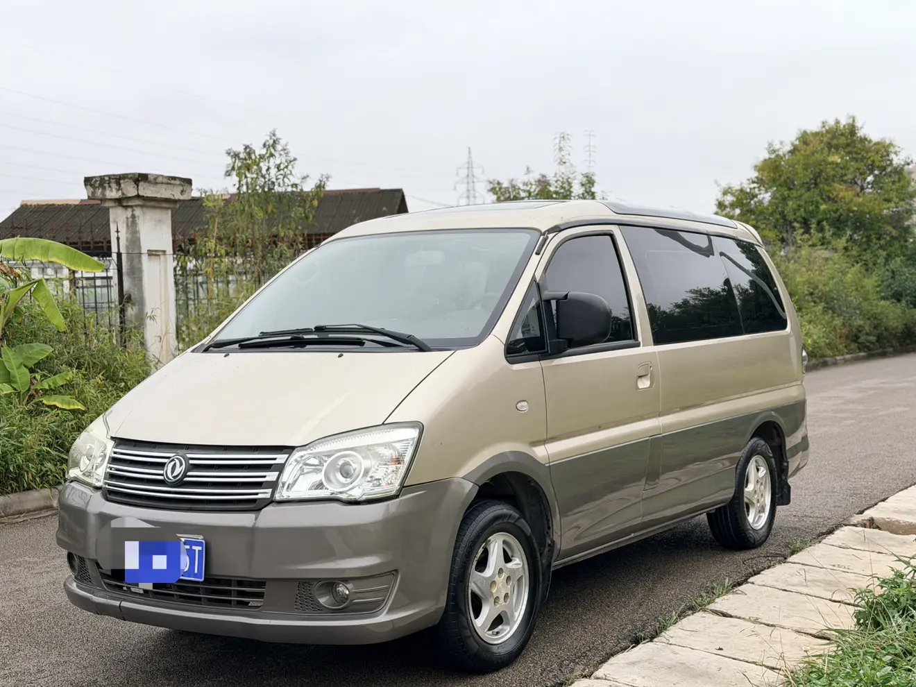 Forthing Lingzhi  из Китая