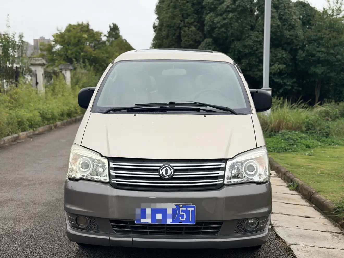 Forthing Lingzhi  из Китая